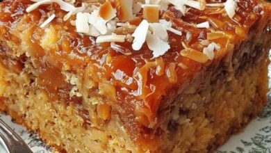 Old-Fashioned Oatmeal Cake